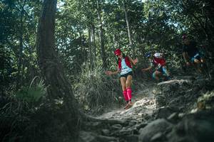 BIB: 
                            <button type="button" onclick="openModal(25989160)" class="btn btn-primary btn-sm float-right btn-popup" data-toggle="modal" data-target=".modal-high-quality">
                        <i class="fas fa-shopping-cart"></i> Add to Cart
                    </button>
                                            <button type="button" onclick="isThisMe(25989160, true)" class="btn btn-success btn-sm float-right btn-popup btn-isme hidden" data-toggle="tooltip" data-placement="bottom" title="นี่คือรูปของคุณใช่ไหม คลิกที่นี่เพื่อเอาเข้าอัลบั้ม">
                        <i class="fas fa-plus"></i> Add to album
                    </button>
                    <button type="button" onclick="isThisMe(25989160, false)" class="btn btn-warning btn-sm float-right btn-popup btn-isnotme hidden">
                        <i class="fas fa-ban"></i> Remove from album
                    </button>